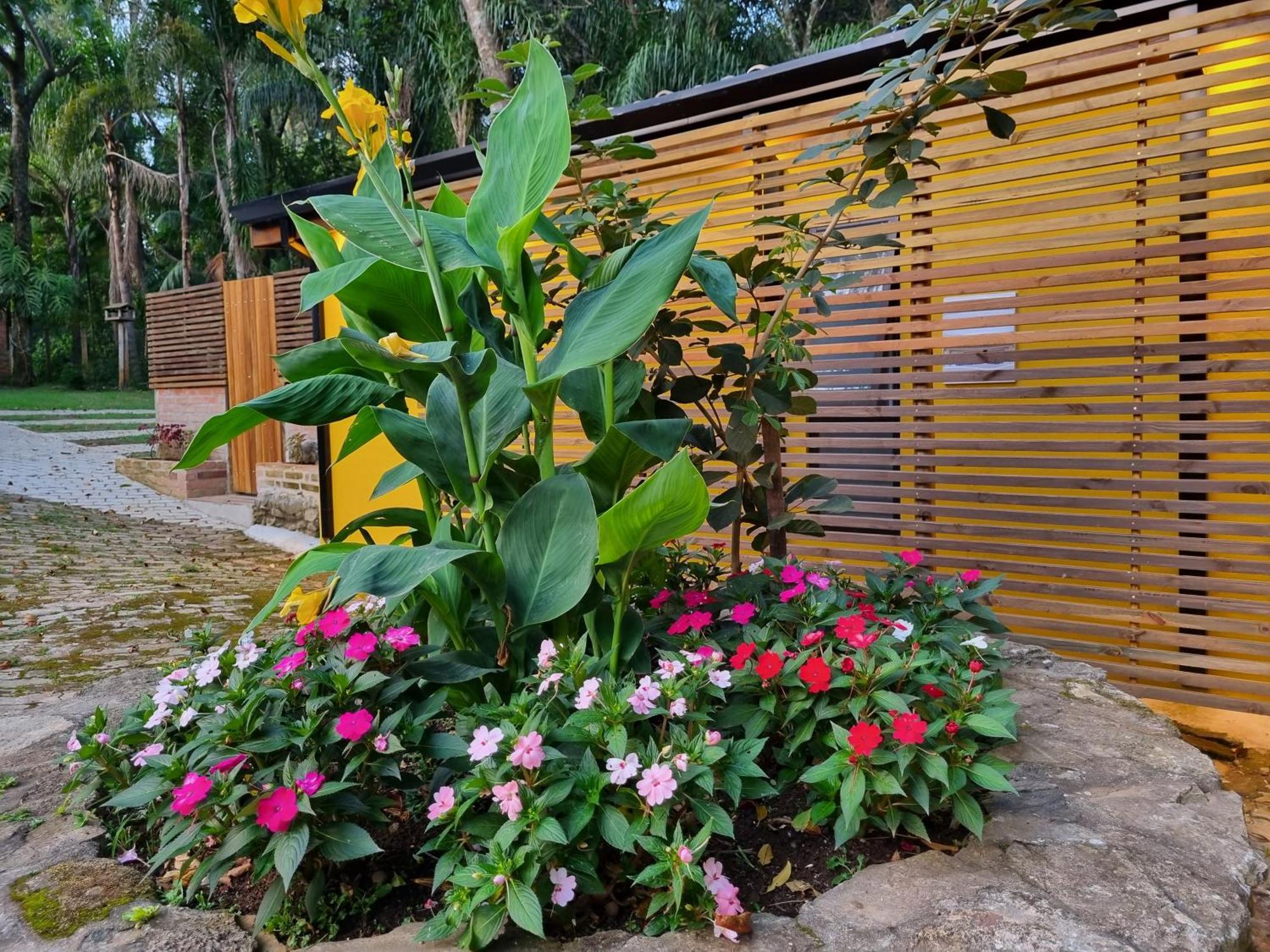 Contempla Joanopolis Hotel Exterior photo
